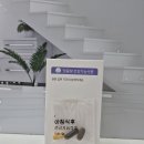 디와이팜 이미지