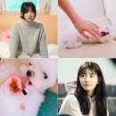 모리네일 - 양천구 | 모리네일