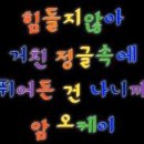 6月25日 여름은 수박맛