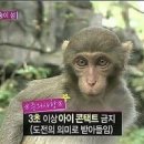 온향