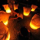 도신자원 이미지