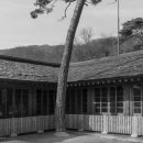 소나무집여인숙 네이버블로그