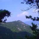 구포3동-9 이미지