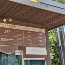 주말 아이랑 안성팜랜드 방문 후기 Ansung Farm Land 여름 물놀이 추천 동물체험 농장