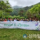 홍천군의회 이미지