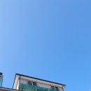 석천생선구이 이미지