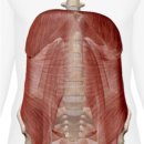 (주)마스터핏 이미지