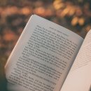 허선생어학연수 - 청주시 흥덕구 1순환로523번길 13 | 허선생어학연수