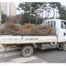 가족나무 이미지