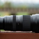 고운손 예쁜눈 | 연꽃이 한창, 의왕 왕송호수 연꽃 습지 촬영 후기. (탐론 50-400mm F4.5-6.3 VC, 니콘 Zf)