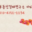 대덕피에스디(주) 이미지