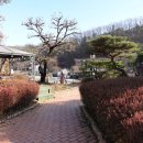 양지-3356 이미지