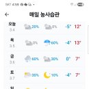 블럭과 몰탈을 사왔다 이미지