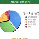 남자 여자 성조숙증 원인 주사 진단 예방 관리 이미지