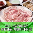 알면 알수록 빠져드는 색연필화 | 유황한돈 삼겹살, 평범한 한 끼를 특별한 미식으로!