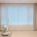 완장천로384번길 | 처인구커튼 블라인드 남사한숲시티 우아한 분위기 조성