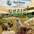 행복마트 | 진주애견동반카페 펫마트 야외운동장 천연잔디🐶☕️[힐브리즈]
