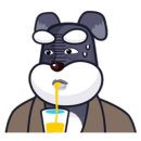 마운틴스테이 이미지