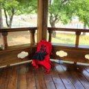 거류체육공원 축구장 이미지