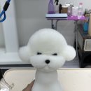 밍그루밍 이미지
