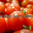 경인영농조합법인