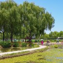 부여생활사박물관 이미지