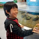 해성합기도 이미지