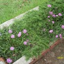 풍남파크 이미지