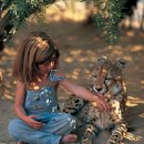 골목대장 이미지