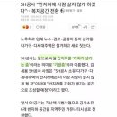 Sh : 더이상 반지하에 사람이 살지않도록 하겠다! 이미지