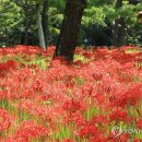 한림공원 이미지