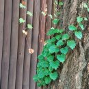 박순길농장 이미지