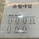 청주자석네일잘하는곳 분평동네일 여름네일추천 || 유월네일