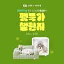 주식회사 펫21 이미지