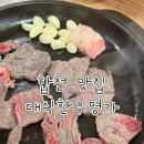 합천황토한우축제 행사장 | [합천] <대식 한우 명가> 철쭉축제 끝나고 먹은 내돈내산 후기