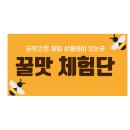신엄안길 이미지