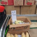 우리싱싱야채 이미지