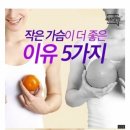 작은 가슴이 더 좋은 5가지 이유 이미지