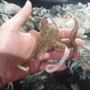 모두케어 이미지