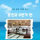 세븐일레븐 송파송리단점 | 서울 한강 다리 아래로 내려간다고? 전세계 3곳뿐인 전망대 광진교 8번가 가는법 주차