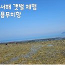 석문수퍼 | 서해 갯벌 체험, 태안 용무치항 준비물 주차 체험 비용 및 물때표 확인하는 방법 정리