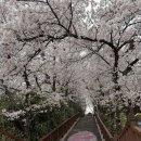 토론으로 지구 한 바퀴 이미지