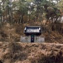 우졸재 박한주비 이미지