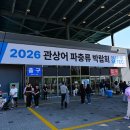 구피랑베타랑 | 2026 관상어 파충류 박람회 후기 티켓 일정? 베타 부스 세텍 주차