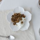 에라토 | 에라토 모이 플레이팅 플라워 접시 3P세트 후기 살펴보기, 화이트 신혼그릇세트의 매력은?