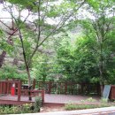 청계동솔바람야영장 이미지