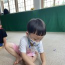 [체육] 도미노 놀이 이미지
