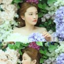 씨엘아이 이미지