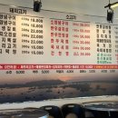 동일하모로 이미지