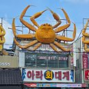 포항 구룡포 대게 맛집 아라회대게 호미곶 근처 가족식사, 솔직 후기